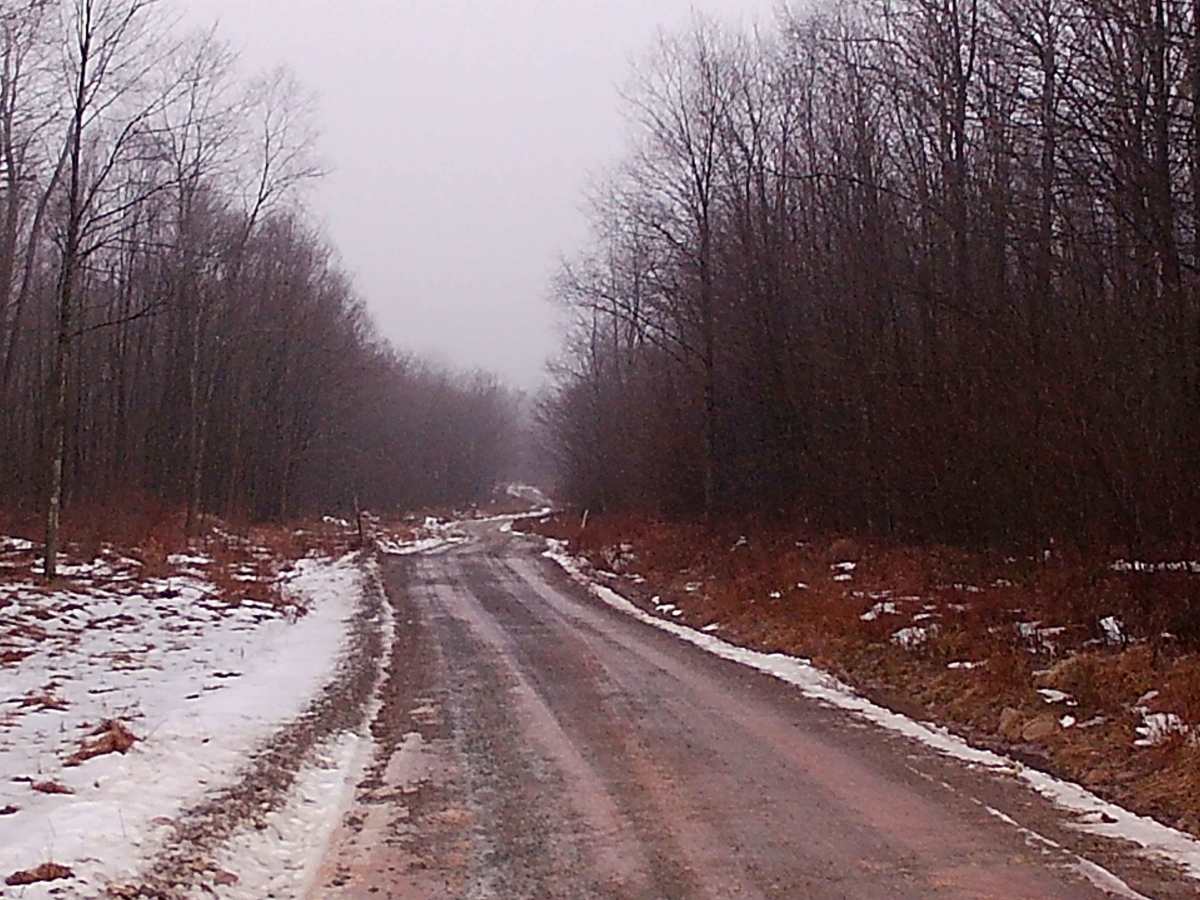 Flynn Road photo 6