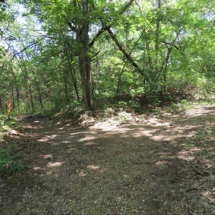 Near Rock Bridge Route Near Rock Bridge Route