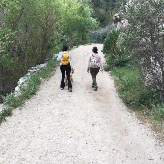 Near Trail Canyon to Trail Canyon Falls and Tom Lucas Campground