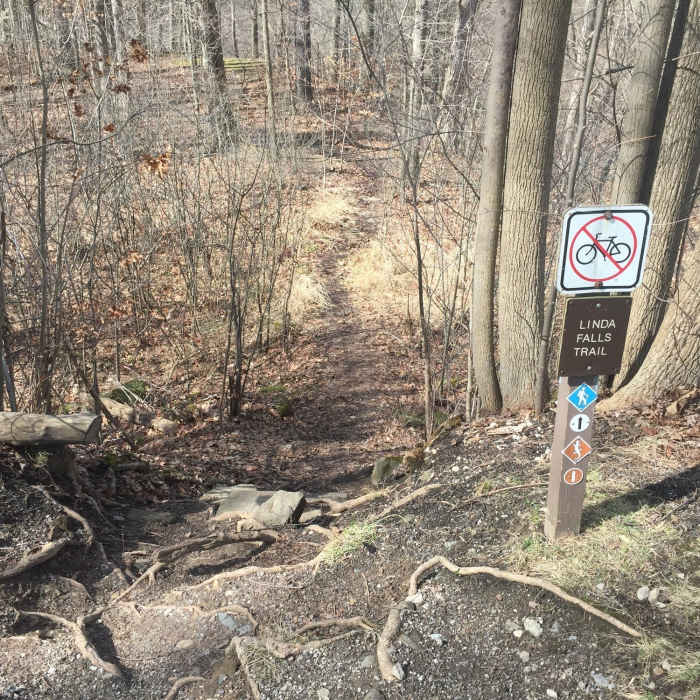 Near Sagamore Creek Loop Trail