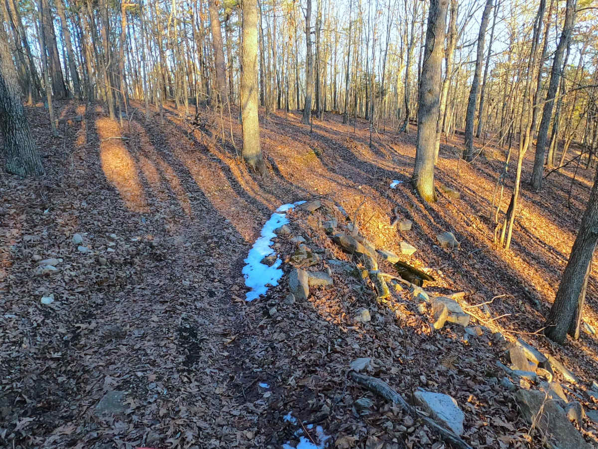 Sutton Bluff ATV 2 - SB 2 photo 4