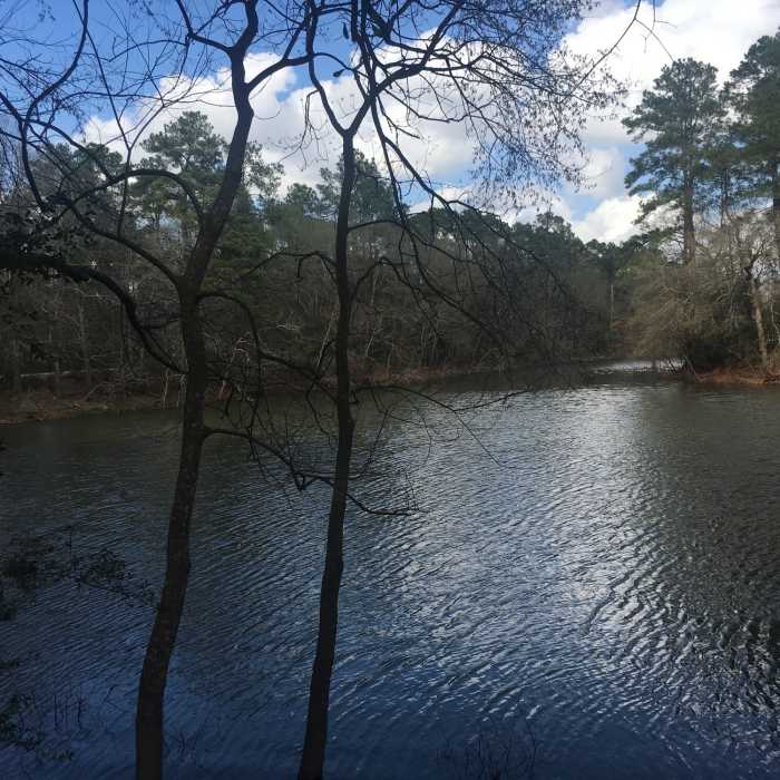 Near Kickerillo-Mischer Preserve Trail