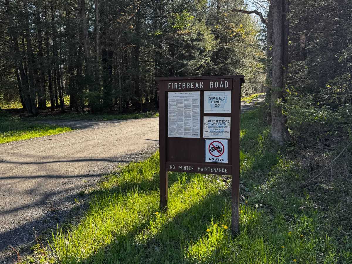 Firebreak Road trail photo