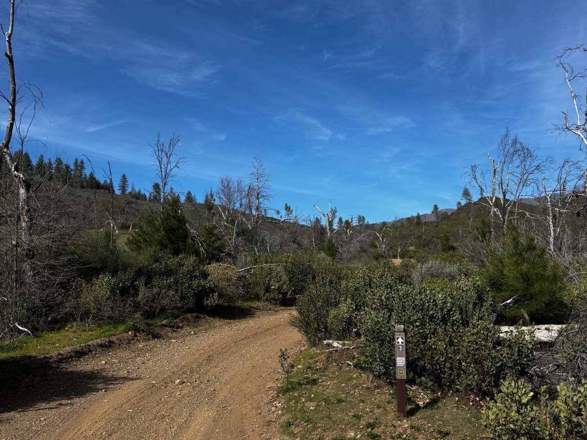 Grouse Springs-Bear Creek Connector trail photo