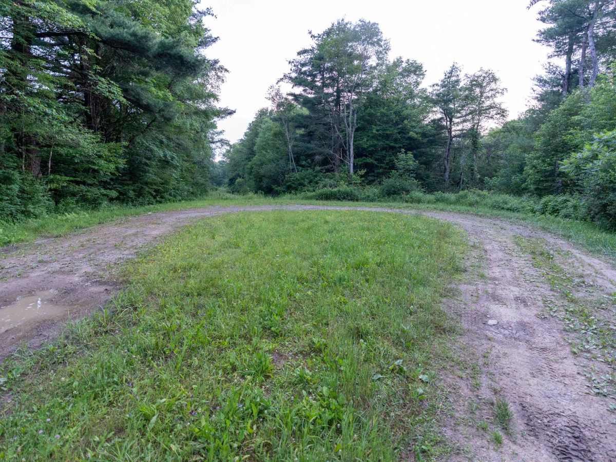 Scholes Forest Road photo 2