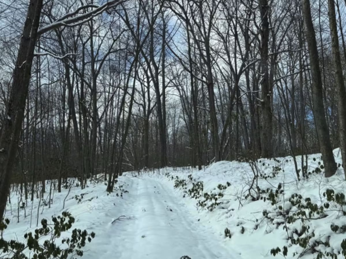 Sullivan Road photo 4
