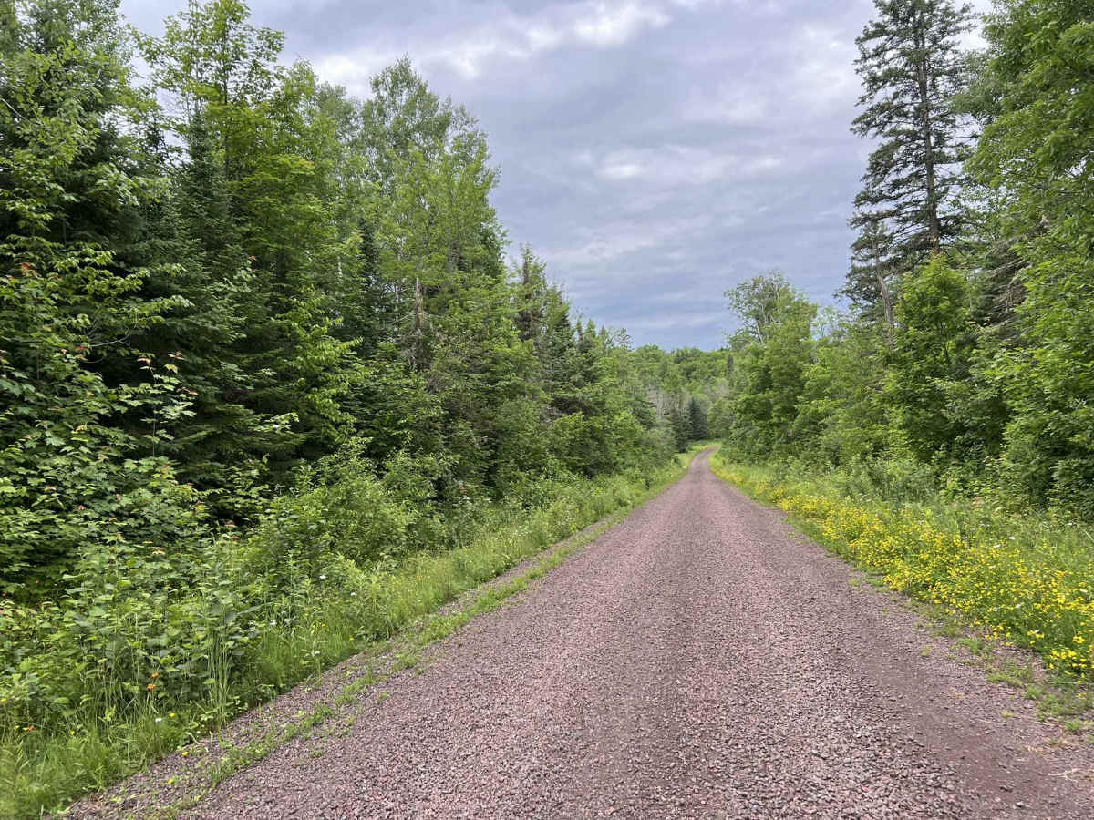 FDR400 trail photo