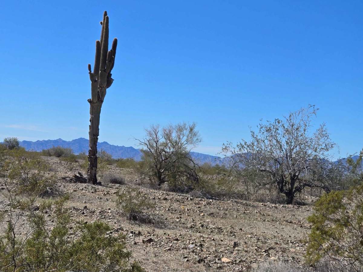 LP776 Connector Trail photo 2