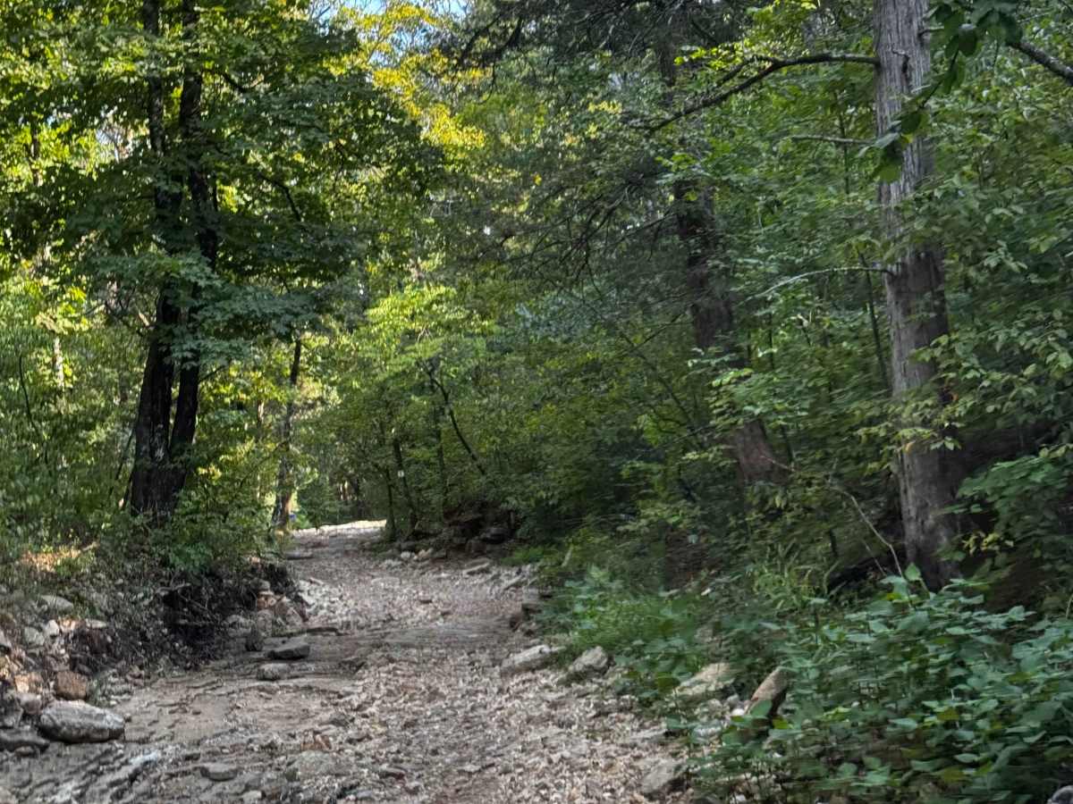 Main Trail  photo 6