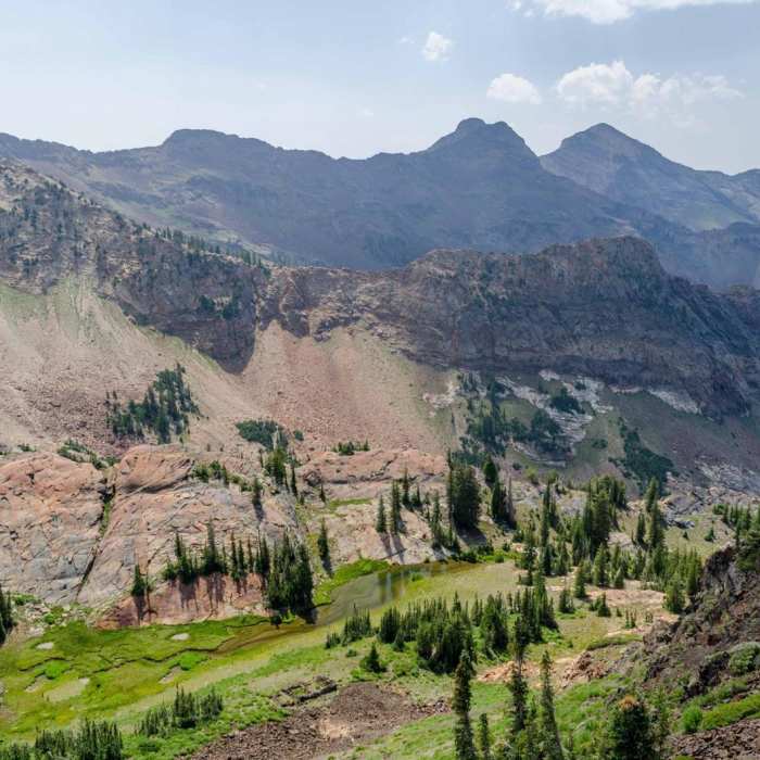 Near Mineral Fork Near Mineral Fork