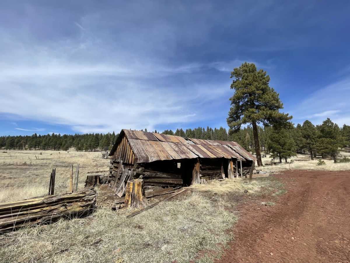 Sunflower Flat and JD Cabin trail photo
