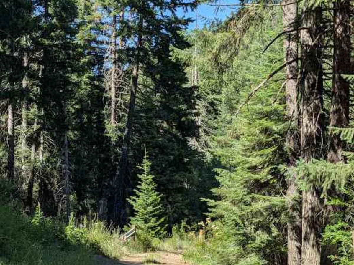 FS 9712-113 trail photo