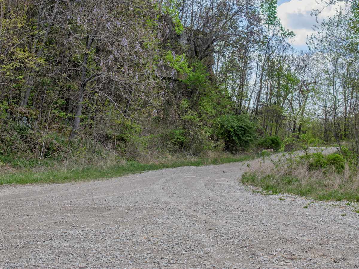 4 Lane  photo 6