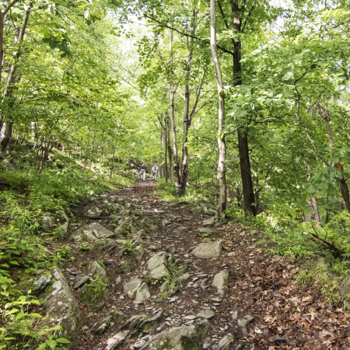 Near Trestle Trail and Megaliths