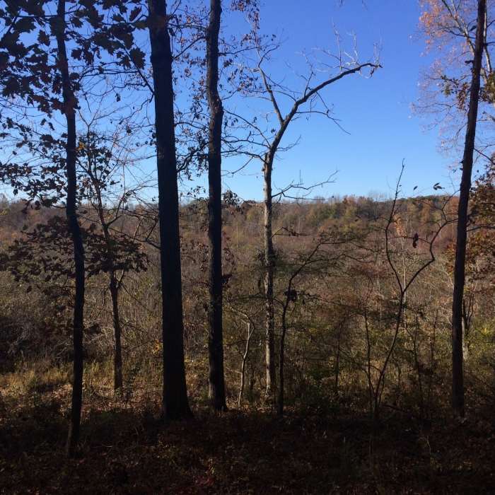Near Great Blue Heron Loop