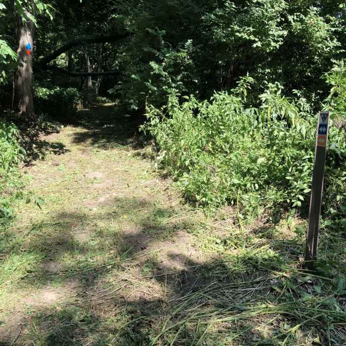 Near Outer Loop (Blue)