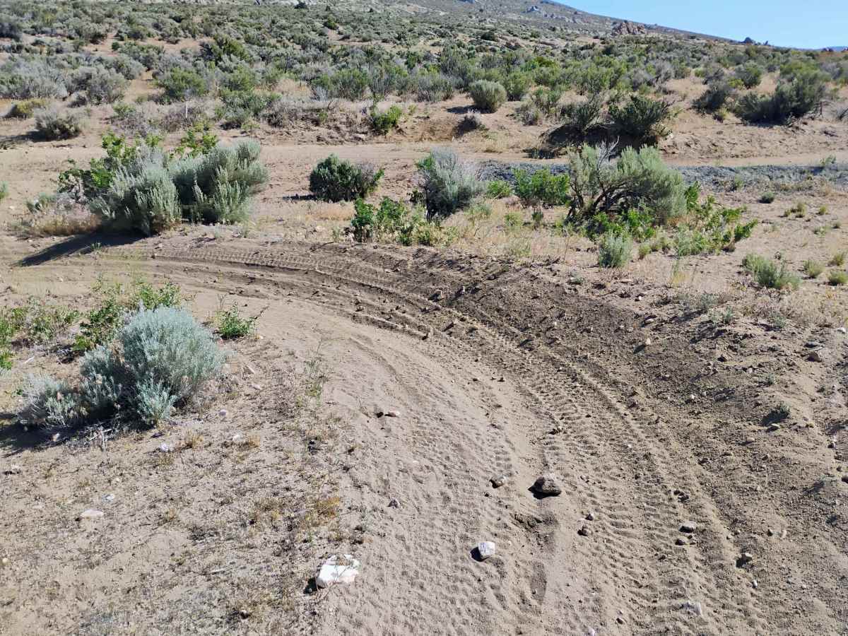 Beginner Track photo 6