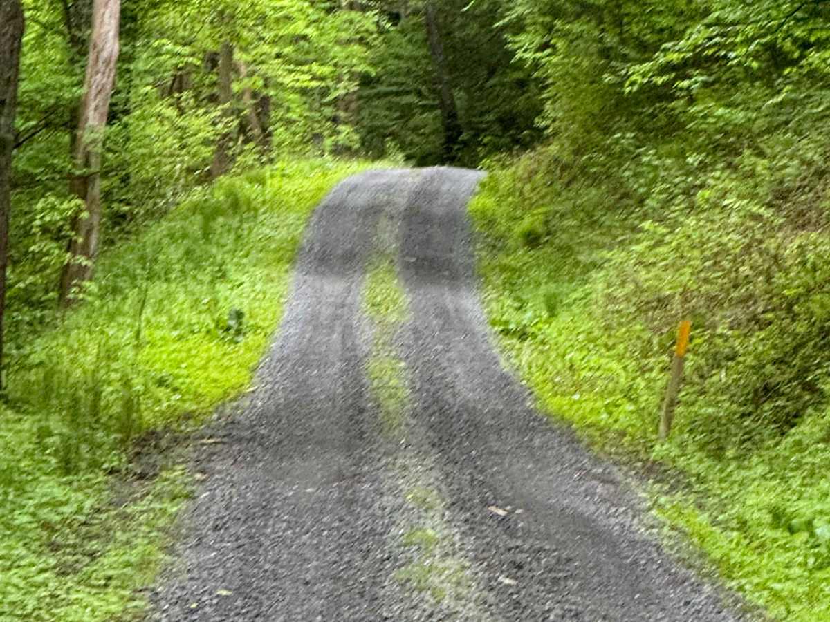 Left Branch Young Womans Creek Road photo 3