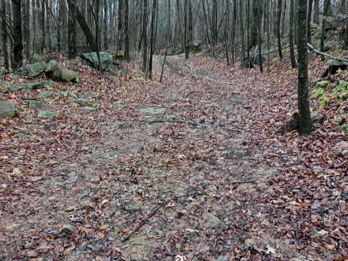 OHV 26 - Rock Run Recreation Area trail photo