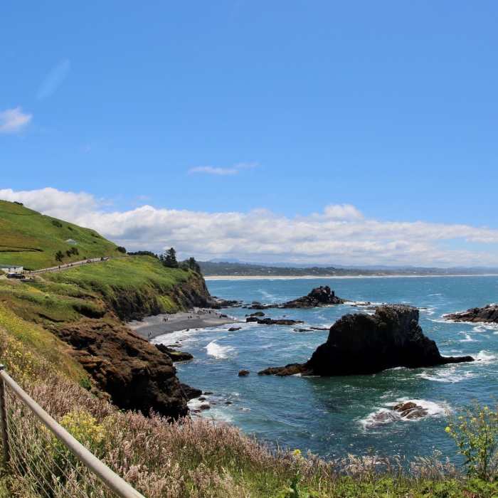 Near Yaquina Head Lighthouse Trail