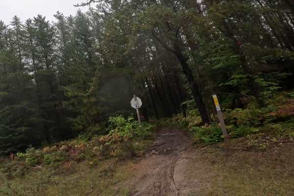 Two Hearted Trail (South)