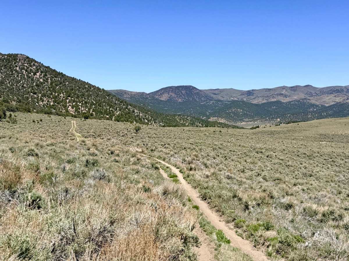 Charnac Brock Canyon - FS 43129 photo 4