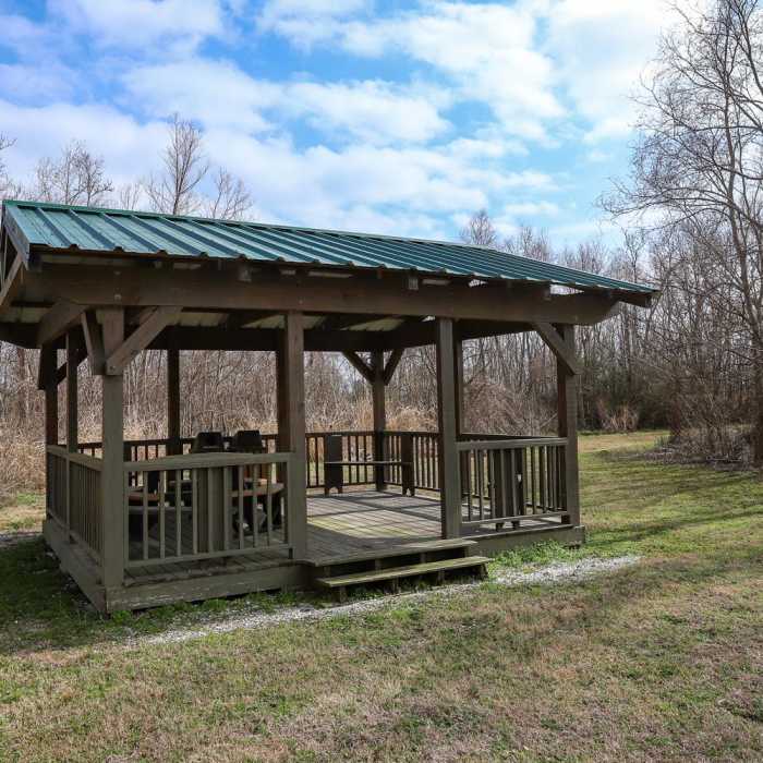 Near White Lake Wetlands Conservation Area Birding + Nature Trail