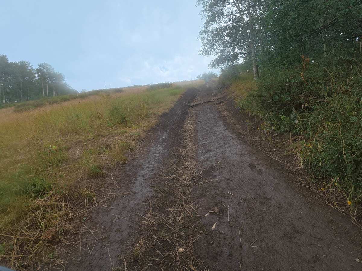 Red Elephant Hill Road - FS 811 photo 2