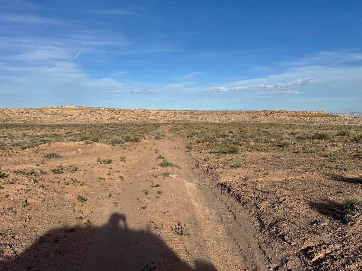 D2915 trail photo