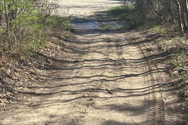 West May Lake Loop