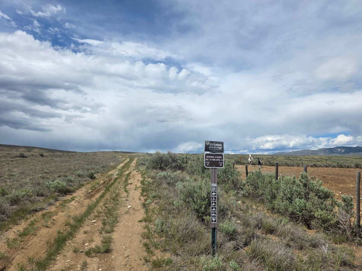 Red Mountain Trail trail photo