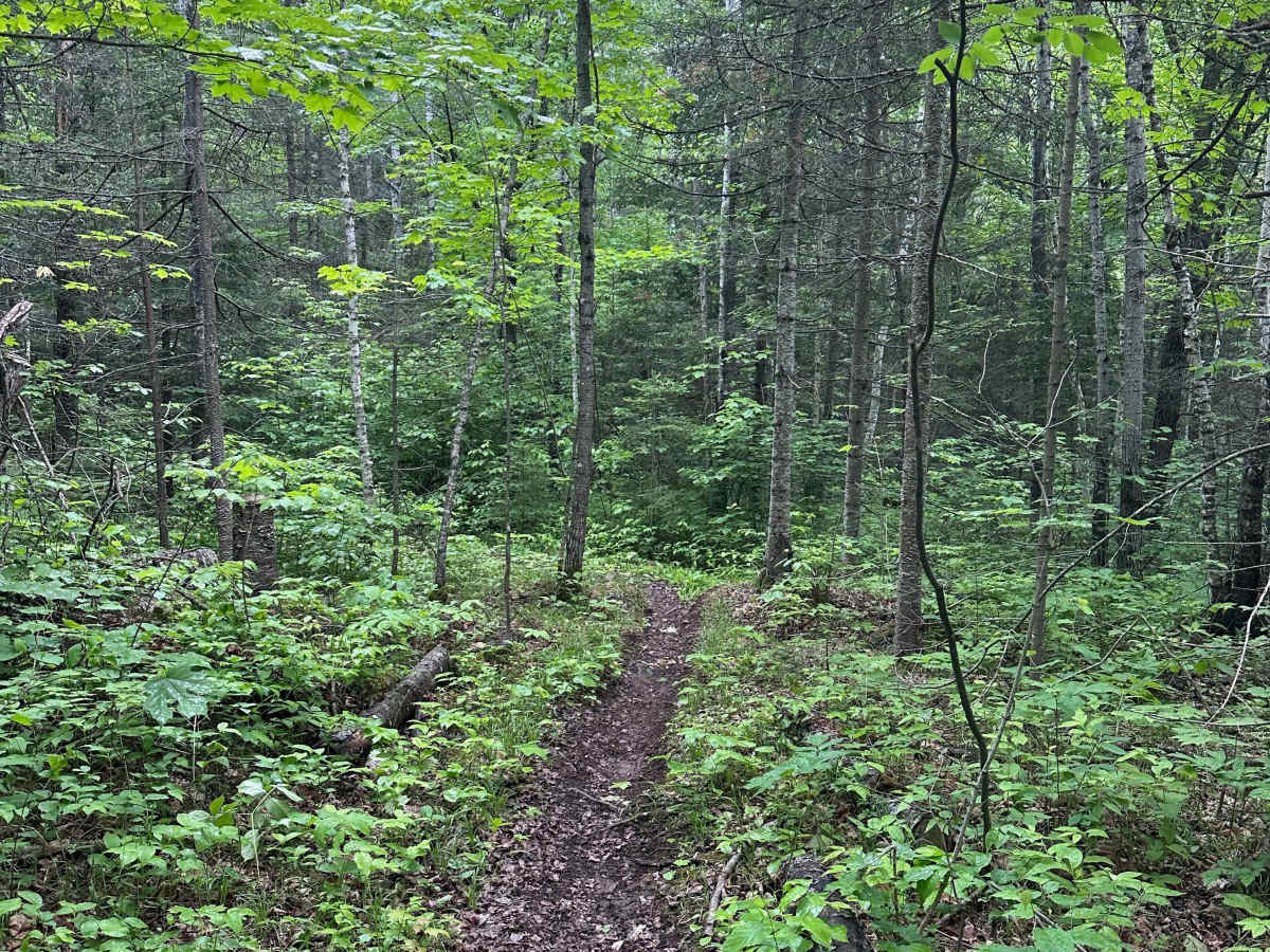 Alger Grade - Trail 4 photo 3