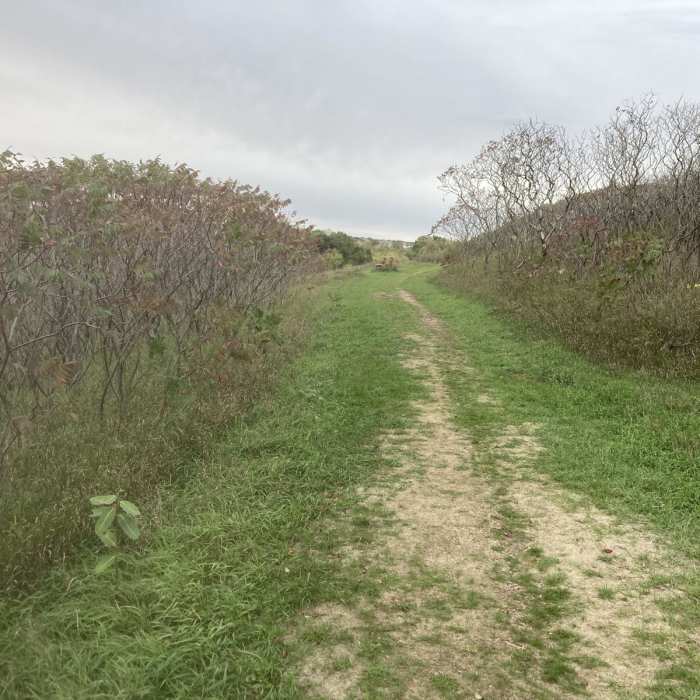 Near Willow Creek Reservoir Loop Near Willow Creek Reservoir Loop