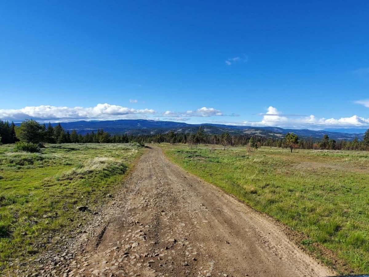 Cleman Mountain photo 2