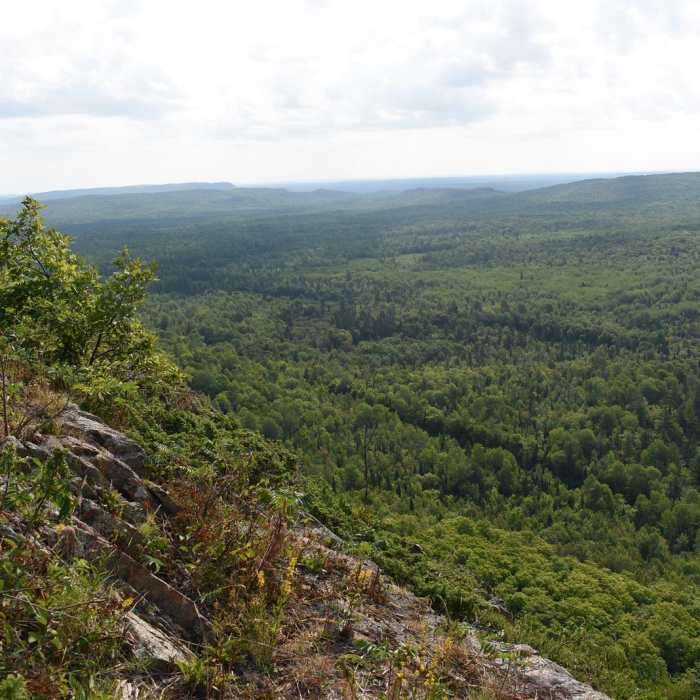Near Hacking Site Trail Near Hacking Site Trail