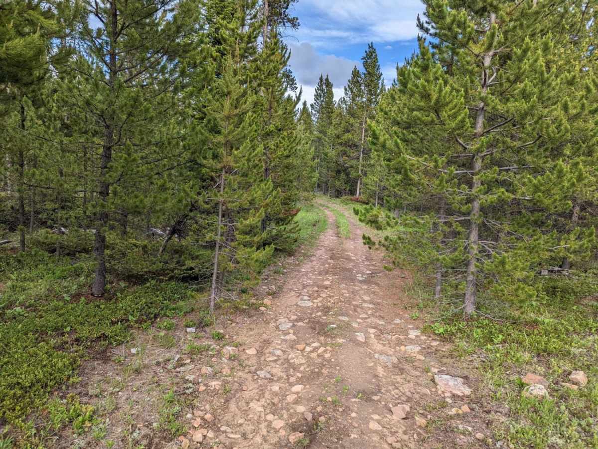 Lower Russian Youth Loop photo 6