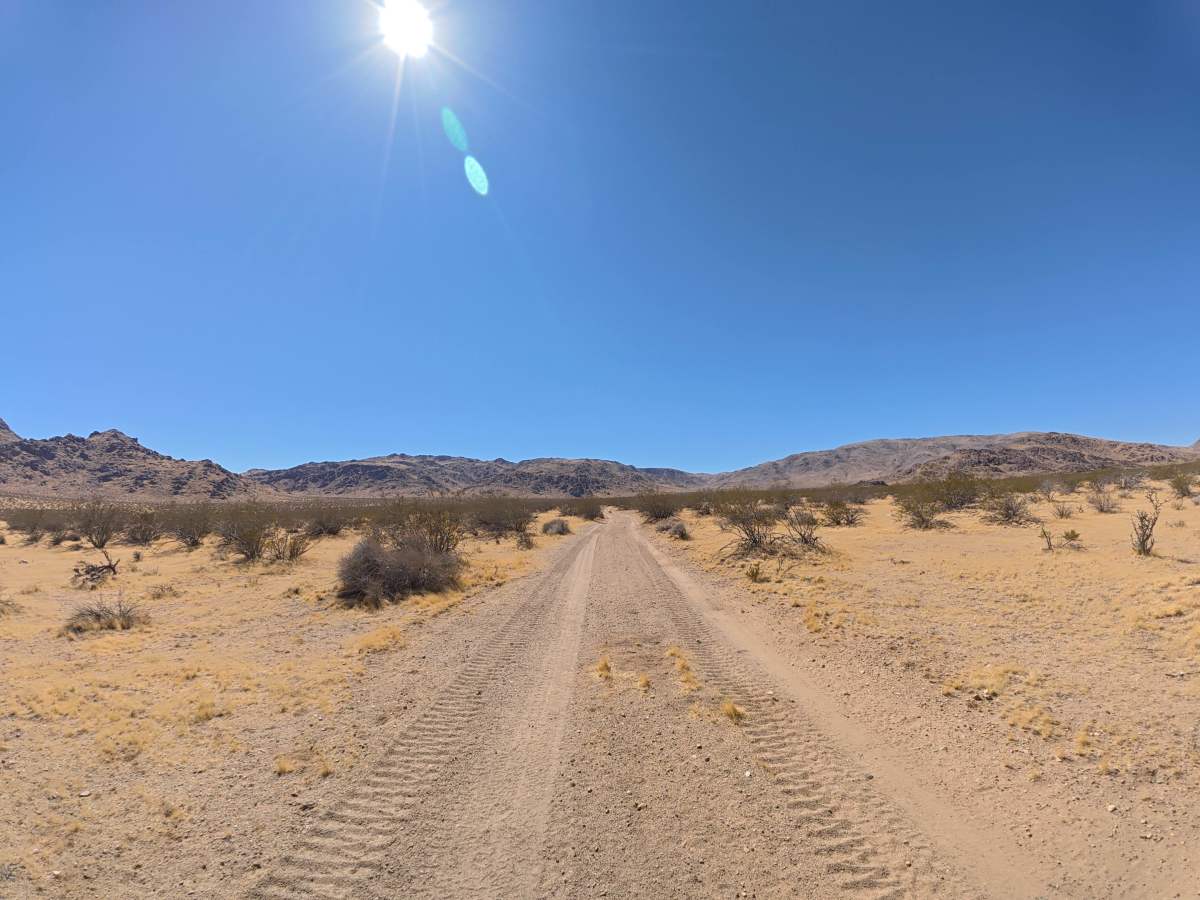 BLM SV2674 photo 6