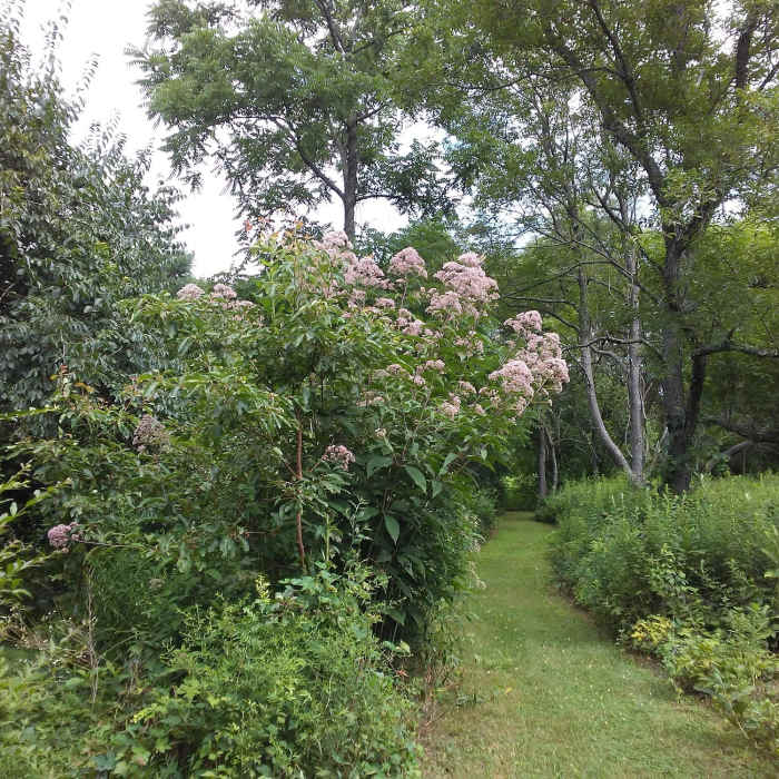 Near Hope Goddard Iselin Preserve