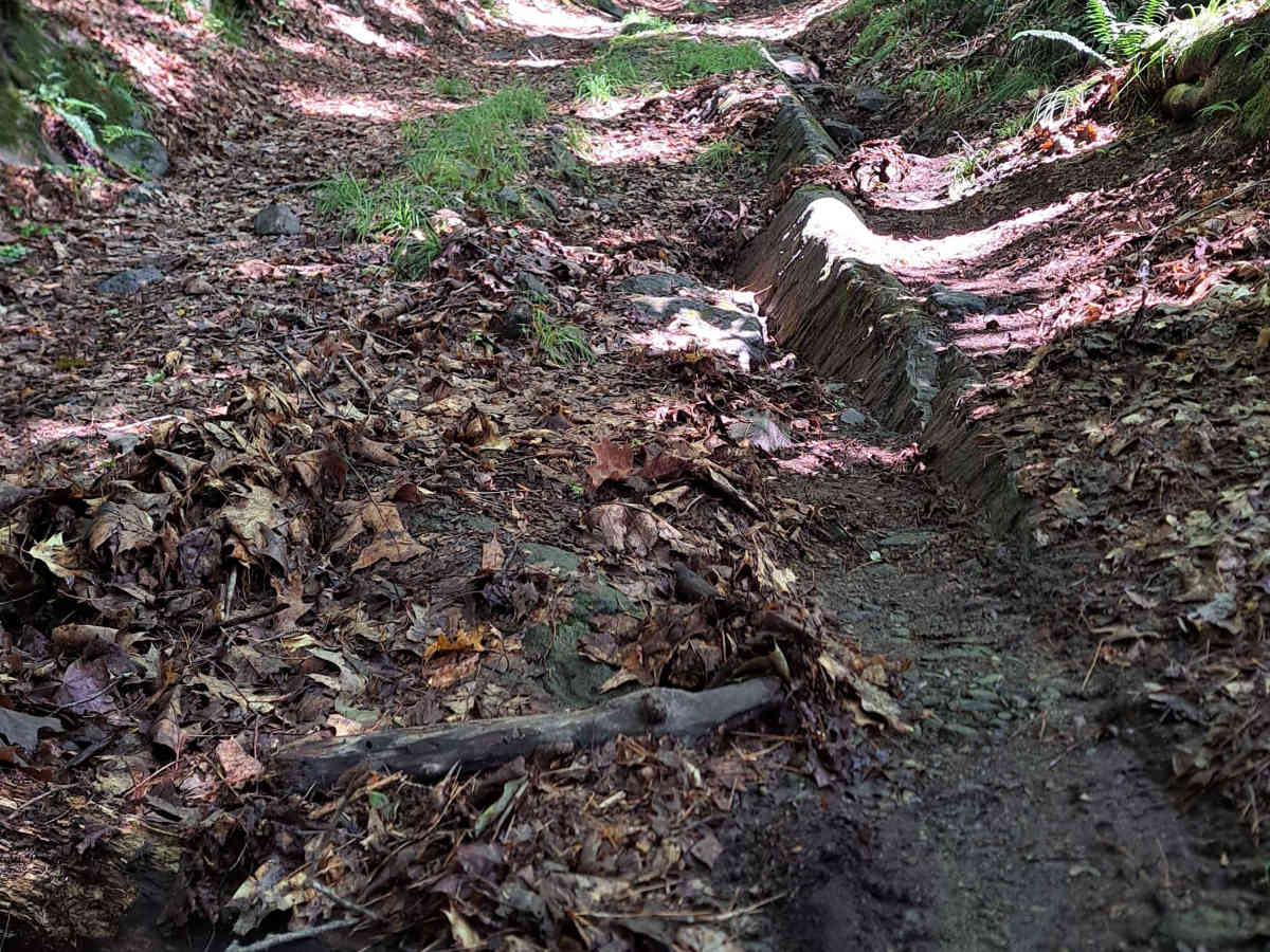 Porter Road photo 5