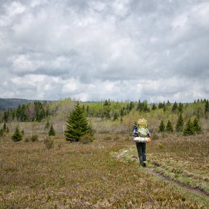 Upper Red Creek trail Near Dolly Sods Challenge Hike - circumnavigation