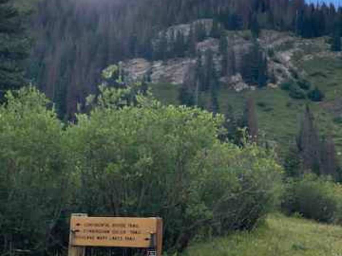 Cunningham Gulch photo 4