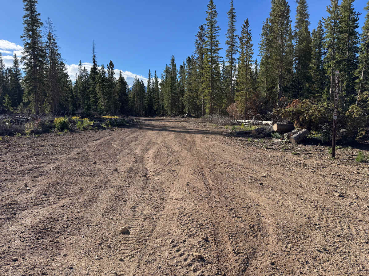 Spruce Road trail photo