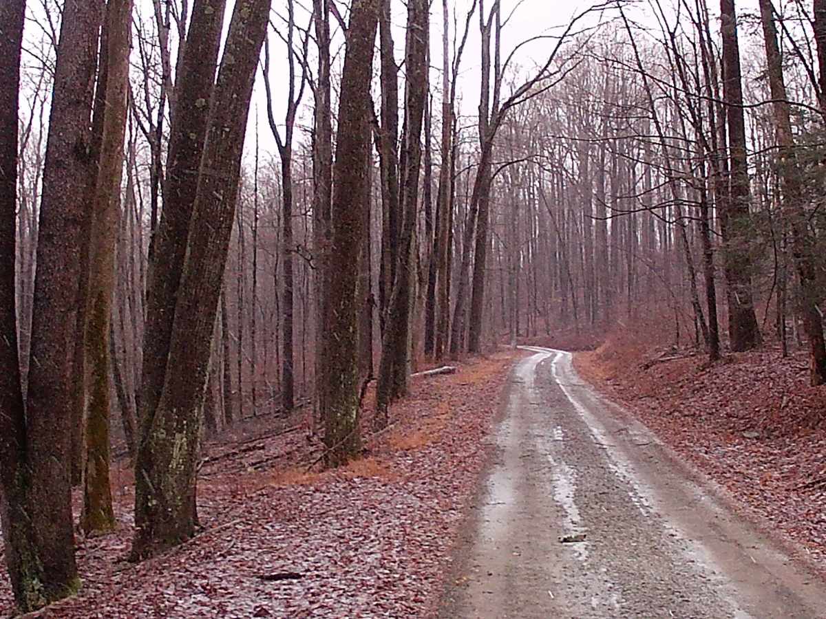 Cascade Road photo 6