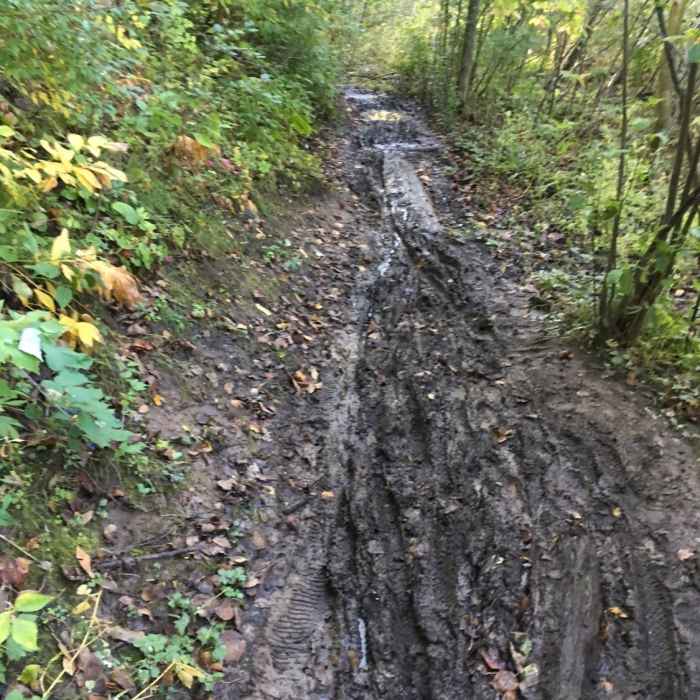Lots of recent rain can muck up the trail. Near Bairds Creek Orange Loop