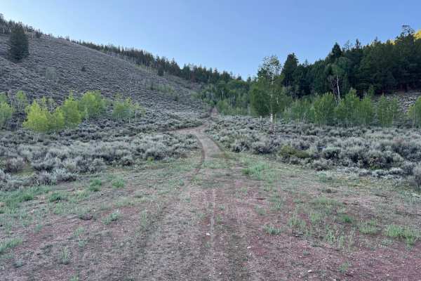 Big Gulch Road