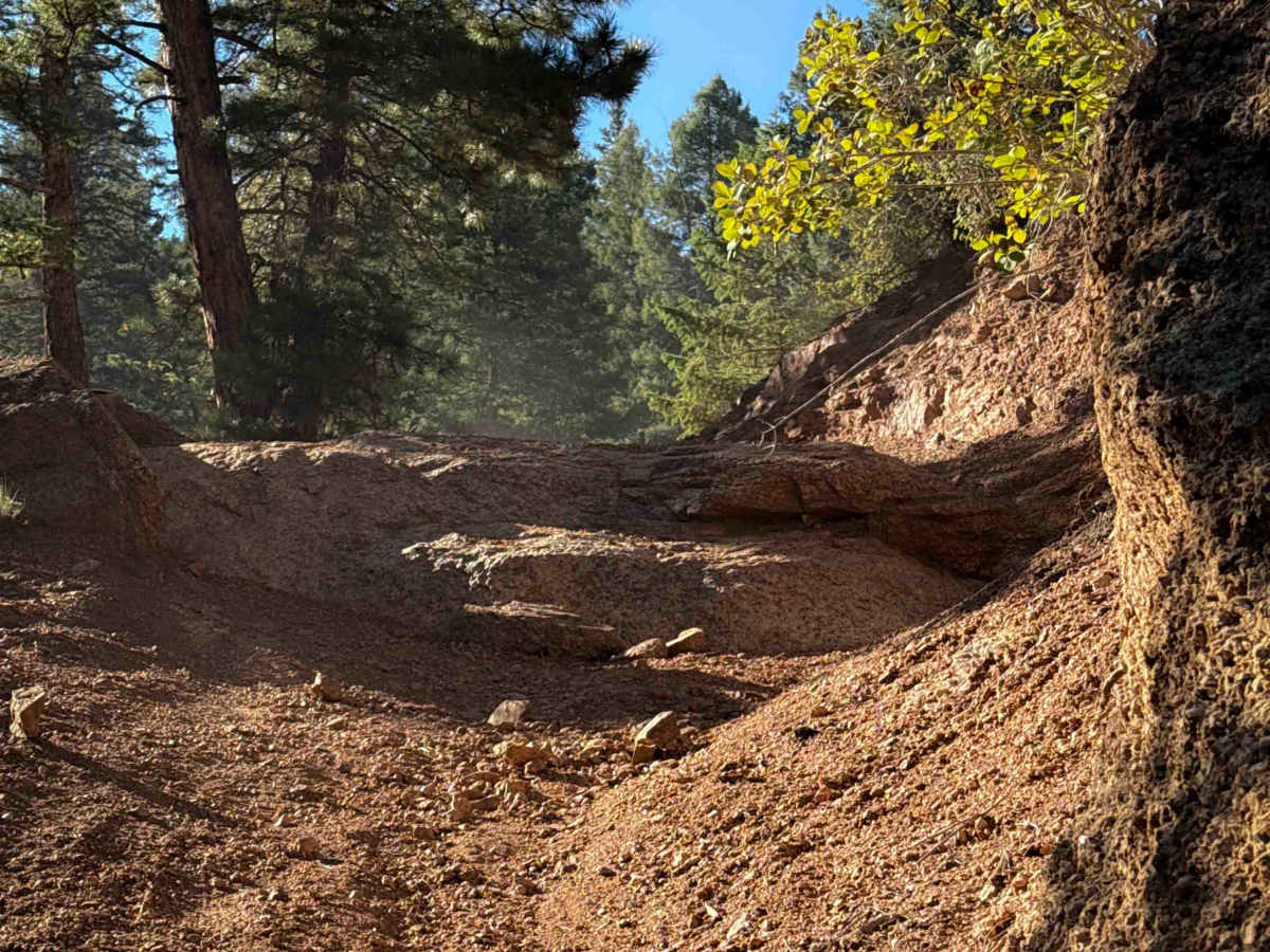 Broken Swing Arm Trail - FS 717F  photo 3