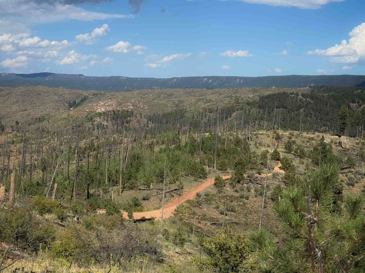 Phantom Spur Trail - FS 717B  photo 5