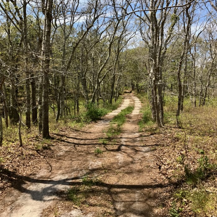 Experiencing the Old King's Highway seems to bring you back in time. Near Pamet Loop