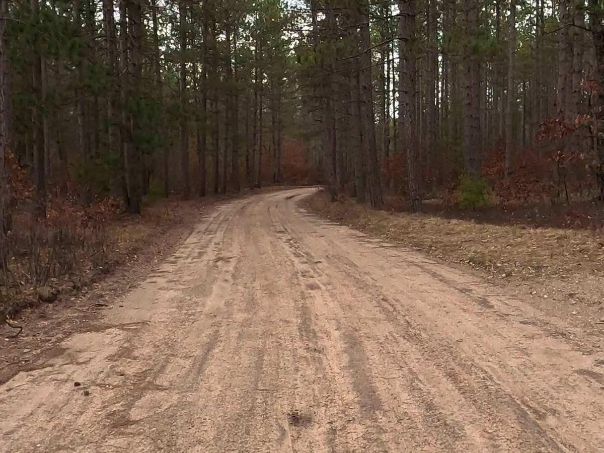 Perry Creek - FS 4100 photo 2