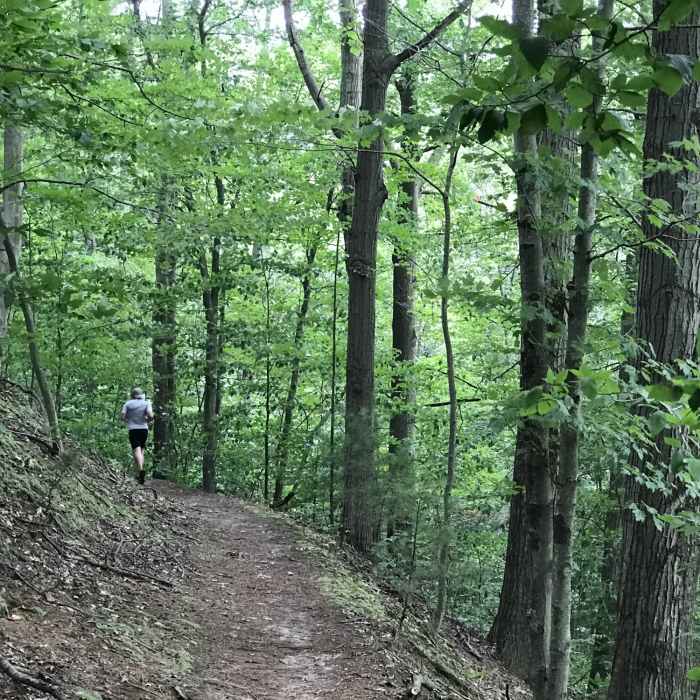 Ridge trail section with full foliage" Photo courtesy of Ottawa County Parks & Recreation. Near North Ottawa Dunes Loop
